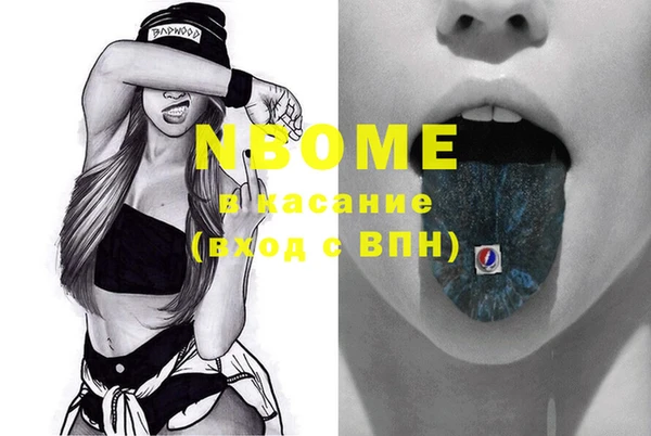 гашик Кодинск