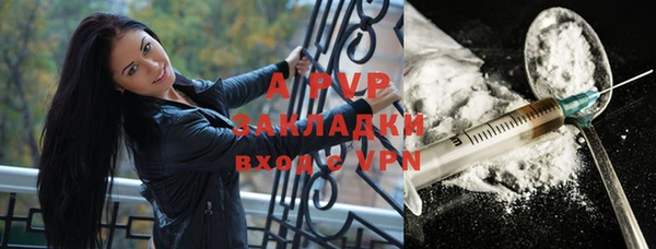 гашик Кодинск